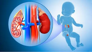 Pediatric Urology Care